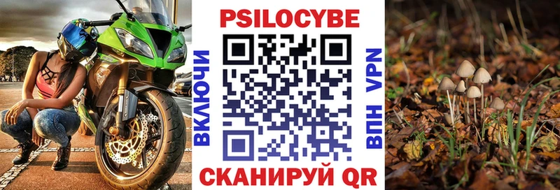 Галлюциногенные грибы Magic Shrooms где можно купить mega Горячеводский